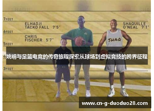 姚明与足篮电竞的传奇旅程探索从球场到虚拟竞技的跨界征程