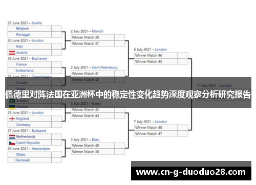 佩德里对阵法国在亚洲杯中的稳定性变化趋势深度观察分析研究报告 佩德里对阵法国在亚洲杯中的稳定性变化趋势深度观察分析研究报告
