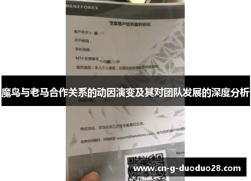 魔鸟与老马合作关系的动因演变及其对团队发展的深度分析 魔鸟与老马合作关系的动因演变及其对团队发展的深度分析